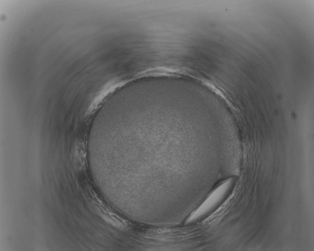 X0000066511355200603311719