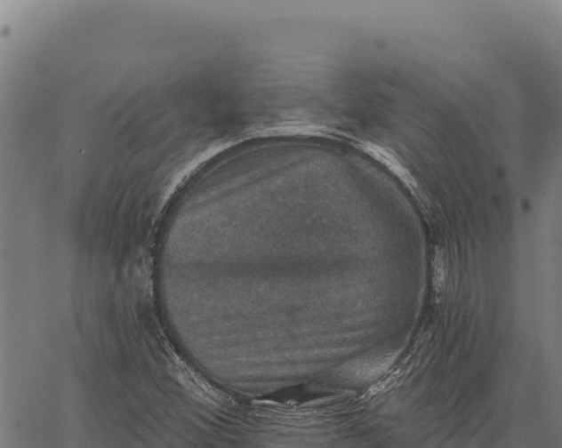 X0000066511356200603311719