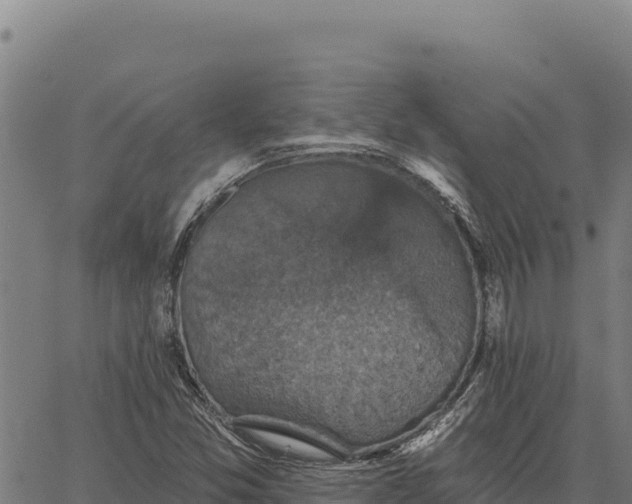 X0000066511357200603311719