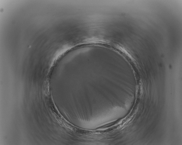 X0000066511358200603311719