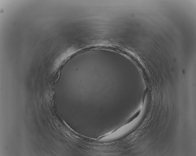 X0000066511359200603311719