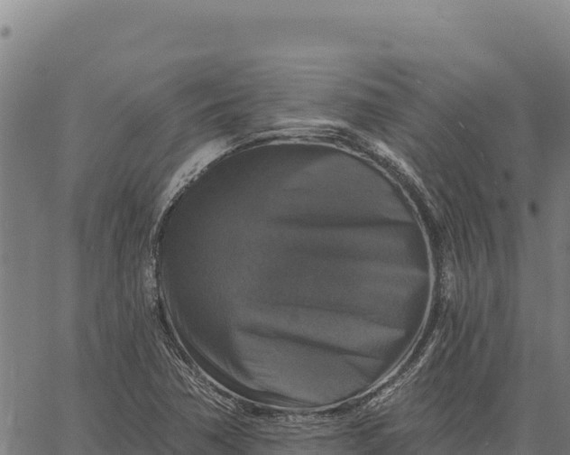 X0000066511362200603311719