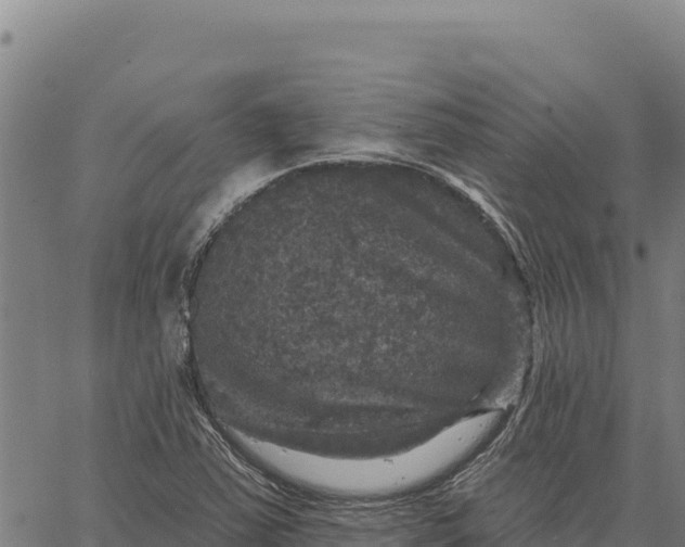 X0000066511363200603311719