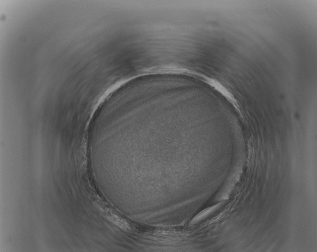 X0000066511364200603311719