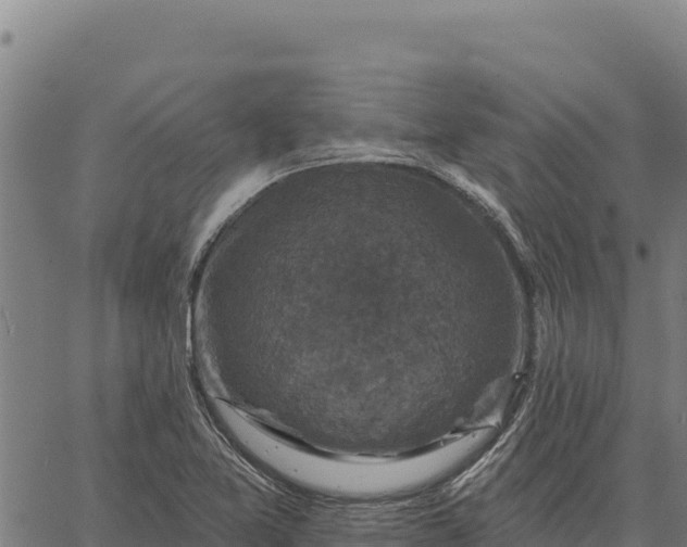 X0000066511365200603311719