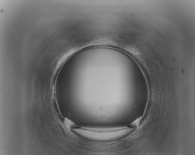 X0000066511366200603311719