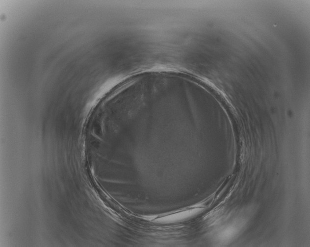 X0000066511367200603311719