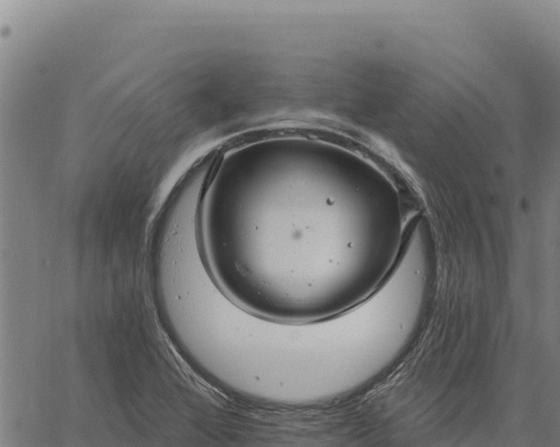 X0000066511368200603311719