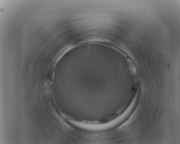 X0000066511369200603311719