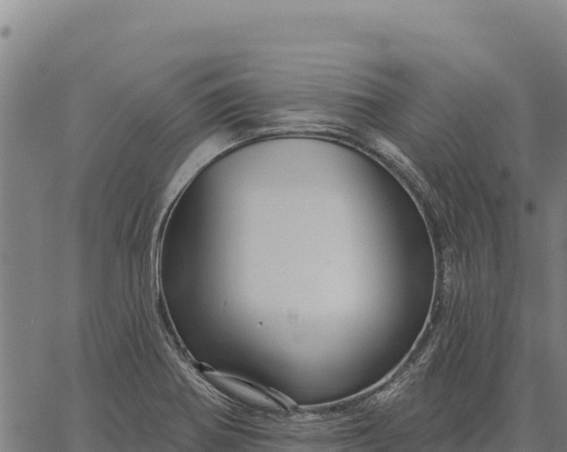 X0000066511370200603311719