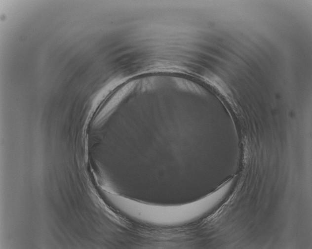 X0000066511371200603311719