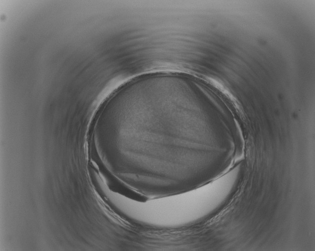 X0000066511372200603311719