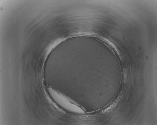 X0000066511373200603311719