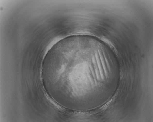 X0000066511374200603311719