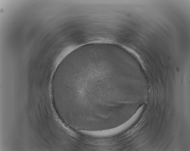 X0000066511375200603311719