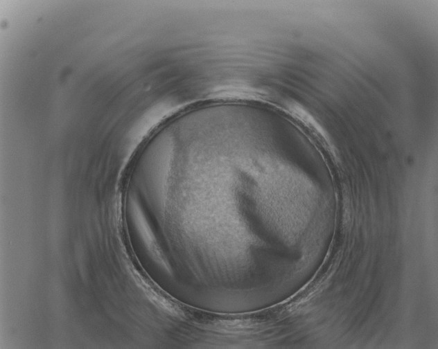 X0000066511376200603311719