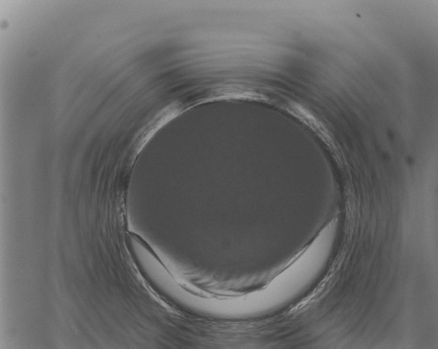 X0000066511377200603311719