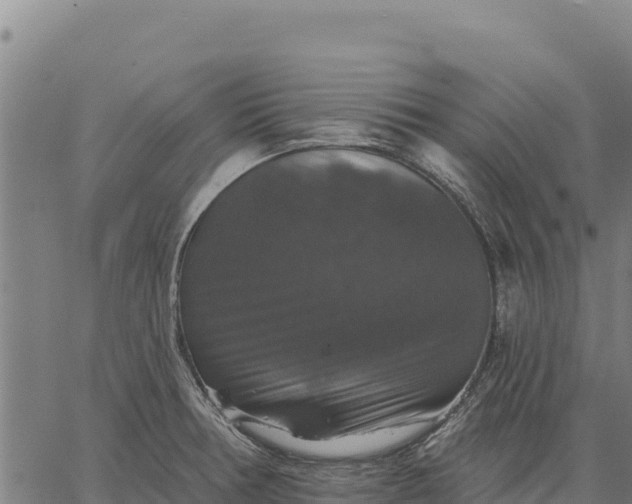 X0000066511378200603311719