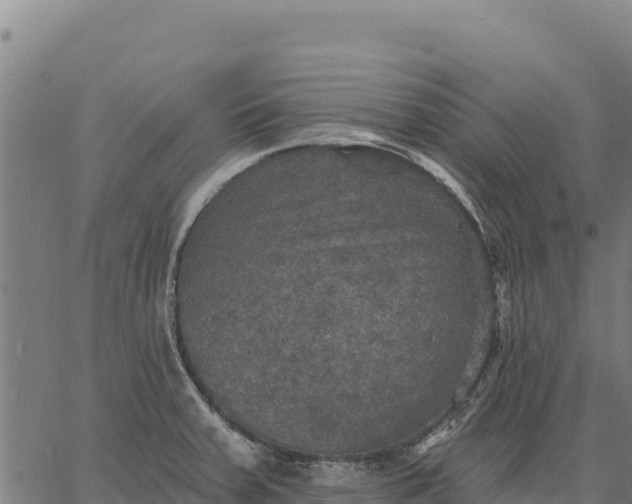 X0000066511379200603311719