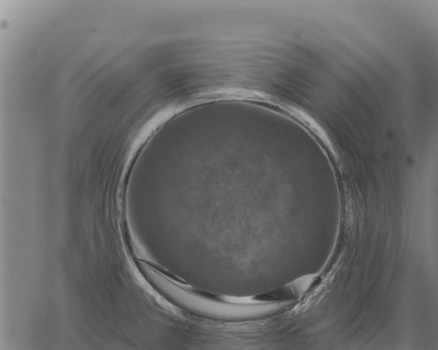 X0000066511381200603311719