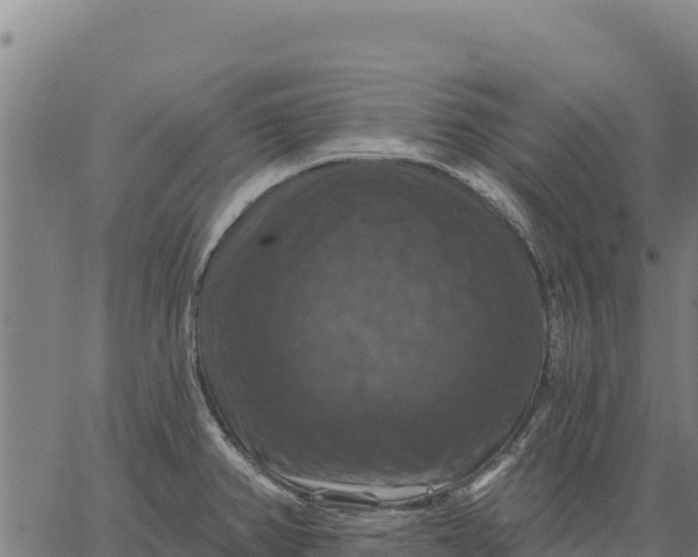 X0000066511382200603311718