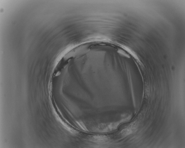 X0000066511383200603311718