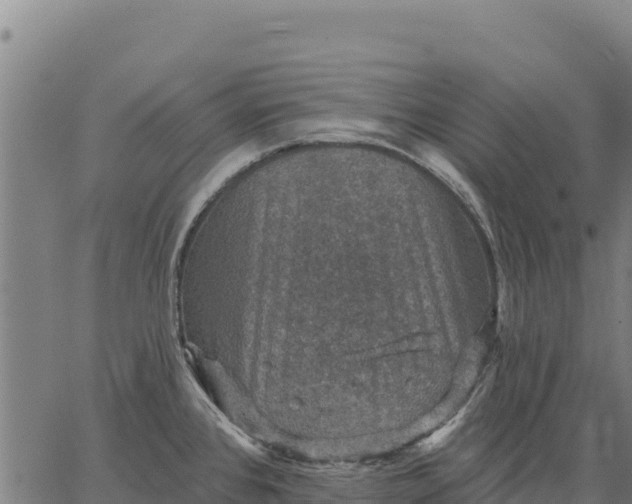 X0000066511384200603311718