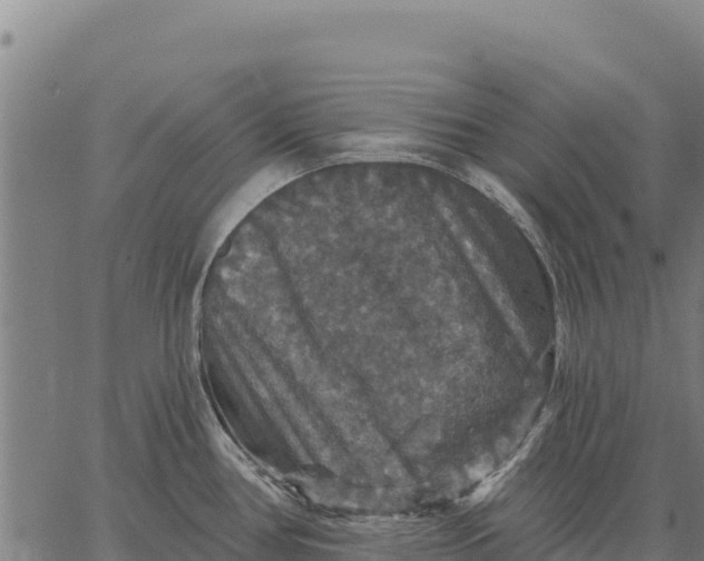 X0000066511386200603311718