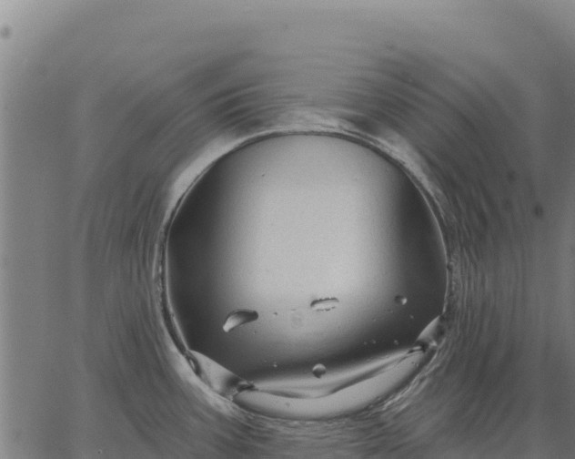 X0000066511387200603311718