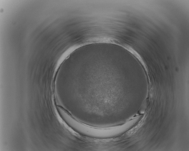 X0000066511389200603311718