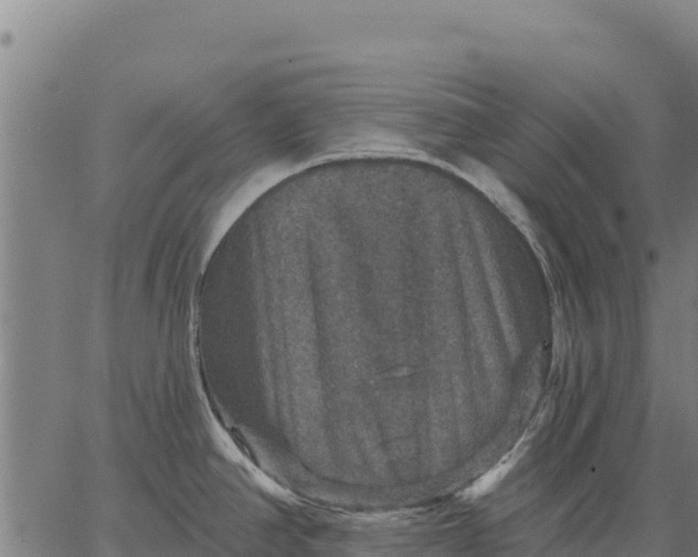 X0000066511390200603311718