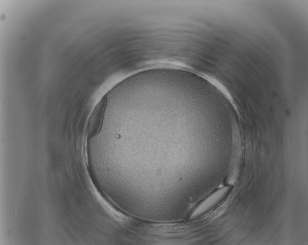 X0000066511391200603311718