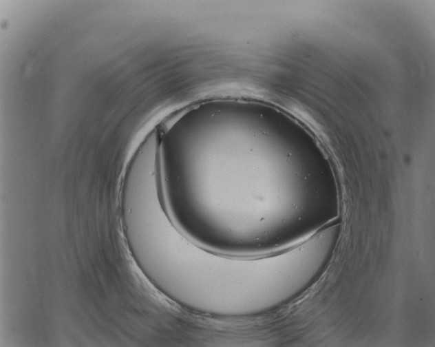 X0000066511392200603311718