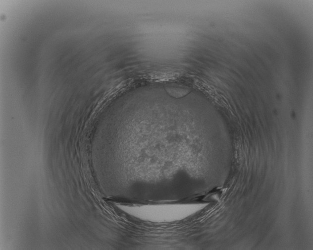 X0000066511393200603311718