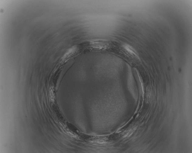 X0000066511394200603311718