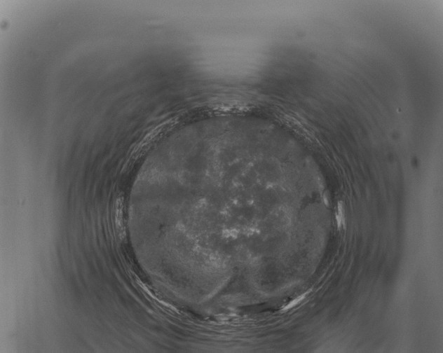 X0000066511396200603311718