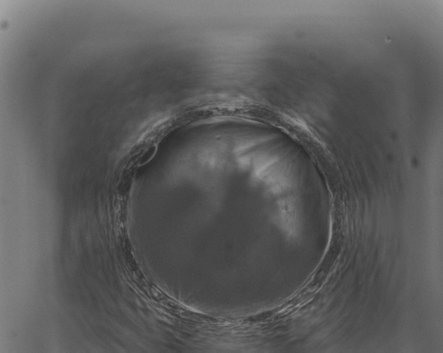 X0000066511399200603311718