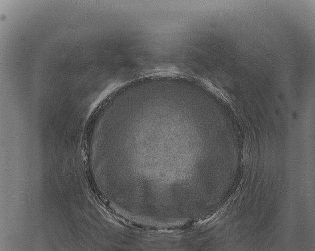 X0000066511400200603311718