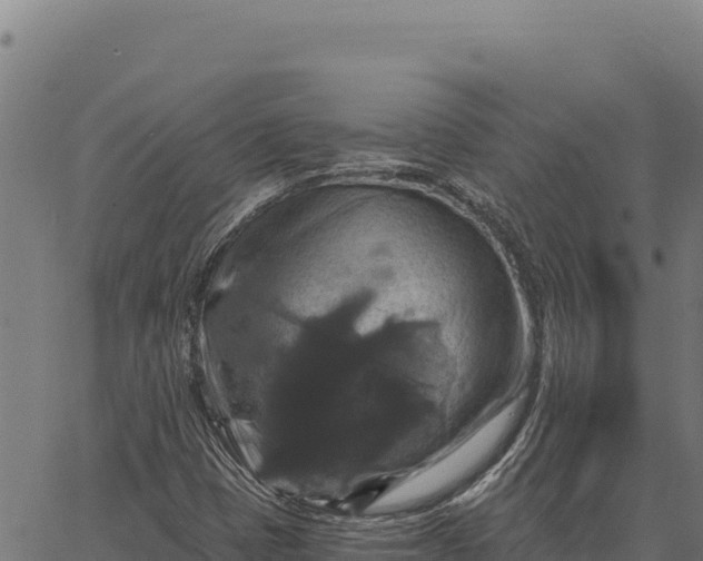 X0000066511401200603311718