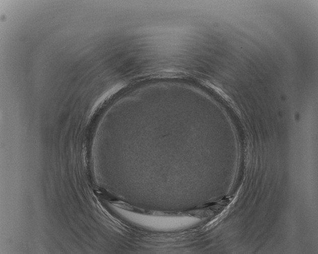 X0000066511402200603311718