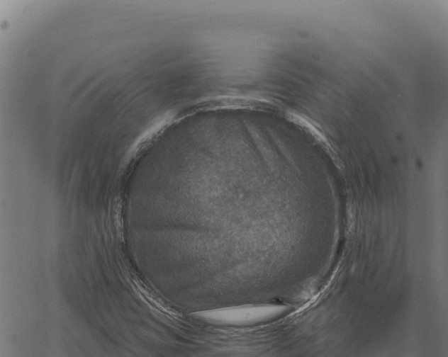 X0000066511403200603311718