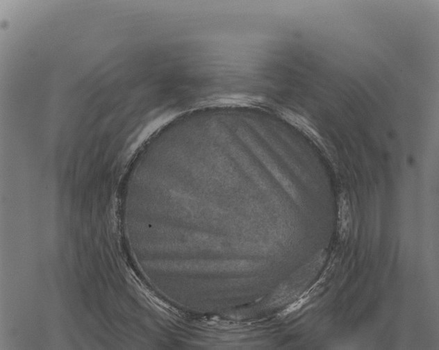 X0000066511404200603311718