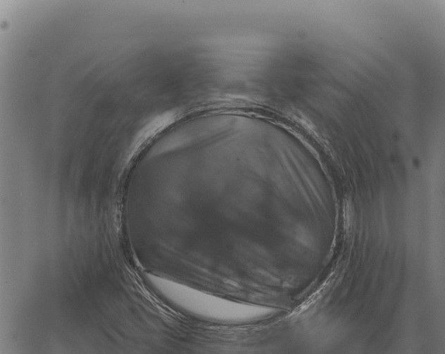 X0000066511405200603311718