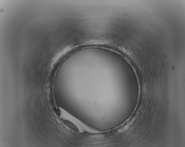 X0000066511406200603311718