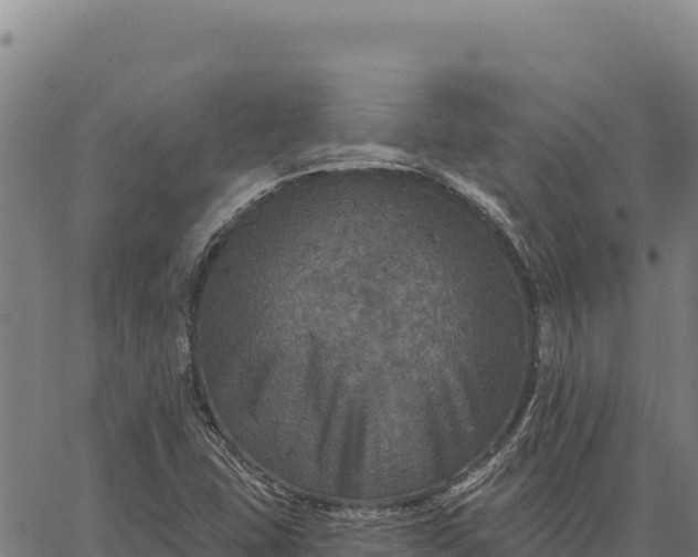 X0000066511407200603311718