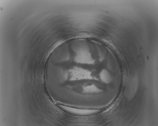 X0000066511409200603311718