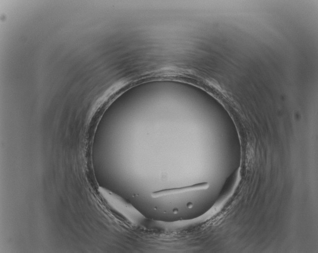 X0000066511410200603311718