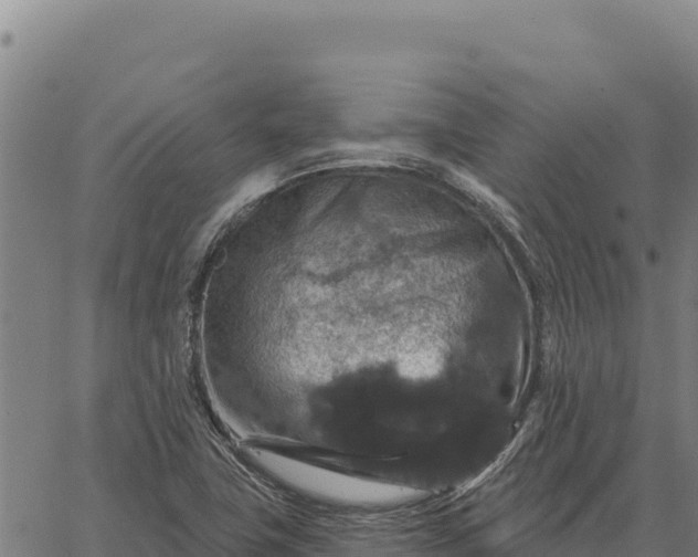 X0000066511411200603311718