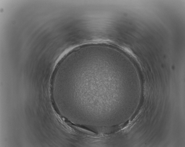 X0000066511412200603311718