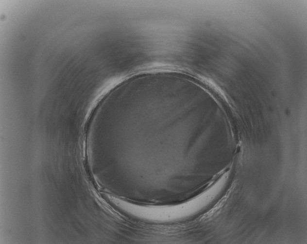 X0000066511413200603311718